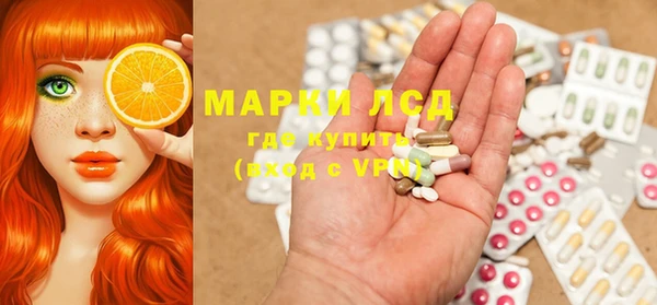 трава Новозыбков