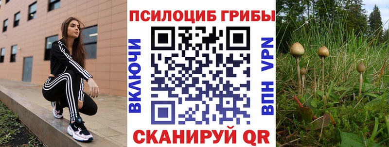 Галлюциногенные грибы GOLDEN TEACHER Нестеровская